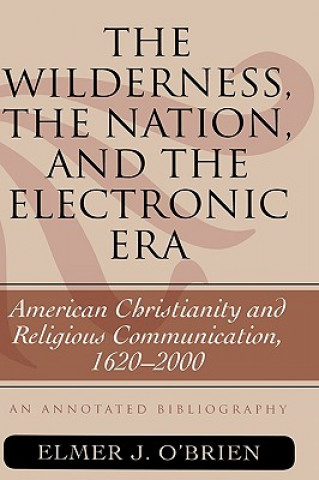 Książka Wilderness, the Nation, and the Electronic Era Elmer J. O'Brien