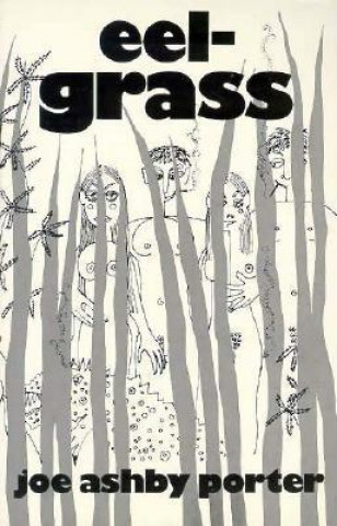 Book Eelgrass Joe Ashby Porter