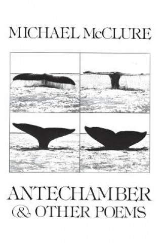 Kniha Antechamber and Other Poems Michael McClure