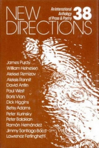 Kniha New Directions Peter Glassgold
