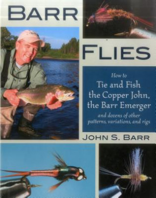 Βιβλίο Barr Flies John S. Barr