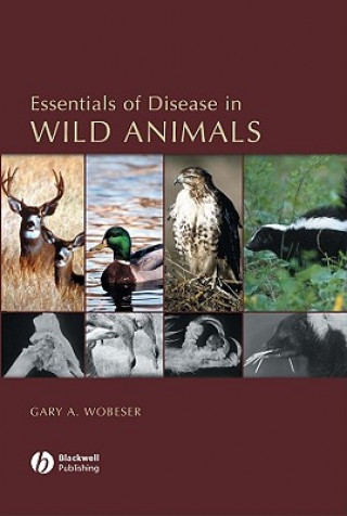 Könyv Essentials of Disease in Wild Animals Gary A. Wobeser