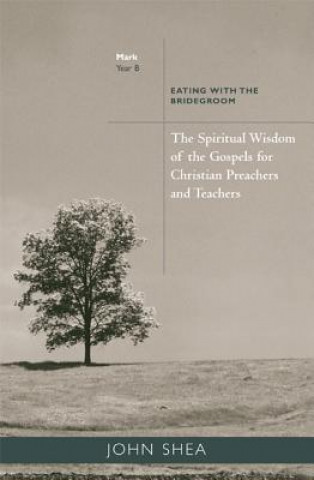 Carte Spiritual Wisdom of Gospels for Christian Preachers and Teachers John Shea