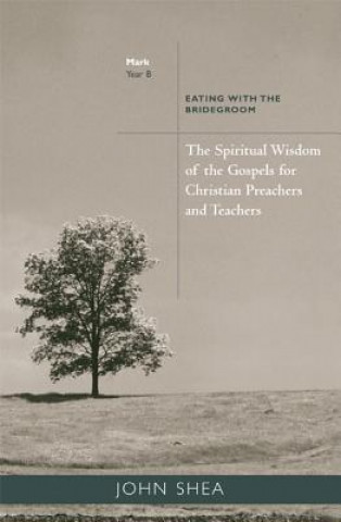 Kniha Spiritual Wisdom of Gospels for Christian Preachers and Teachers John Shea