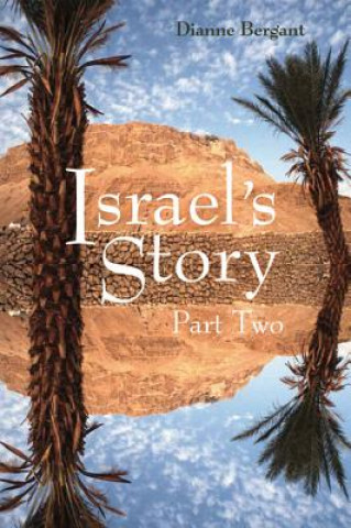 Livre Israel's Story Dianne Bergant