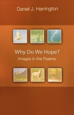 Книга Why Do We Hope? Daniel J. Harrington