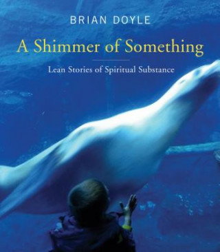 Kniha Shimmer of Something Brian Doyle