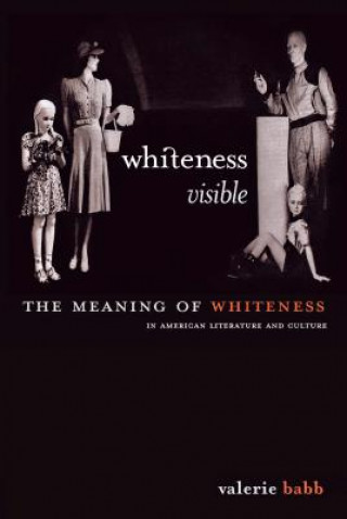 Livro Whiteness Visible Valerie Babb