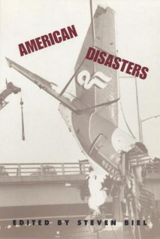 Kniha American Disasters Steven Biel