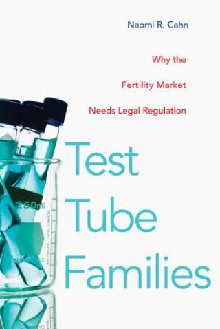 Kniha Test Tube Families Naomi Cahn