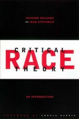 Buch Critical Race Theory Richard Delgado