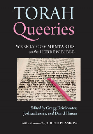 Book Torah Queeries 