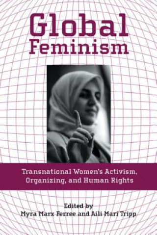 Книга Global Feminism 