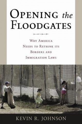 Könyv Opening the Floodgates Kevin R. Johnson
