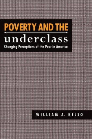 Knjiga Poverty and the Underclass 