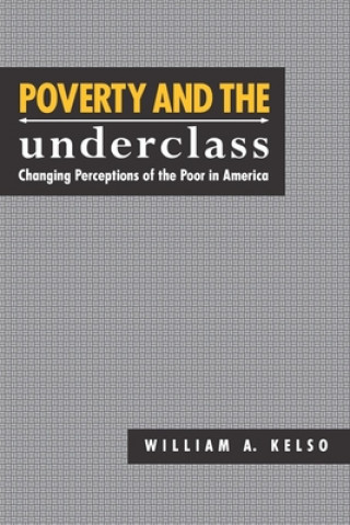 Knjiga Poverty and the Underclass 