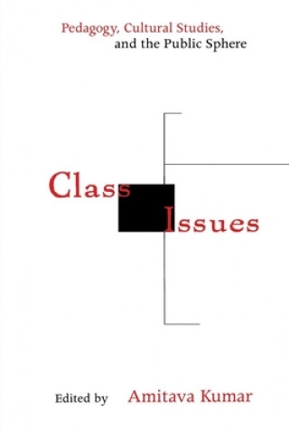 Książka Class Issues Amitava Kumar