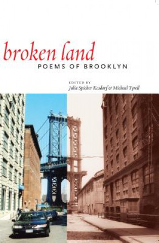 Kniha Broken Land Michael Tyrell