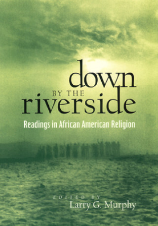 Könyv Down by the Riverside Larry Murphy