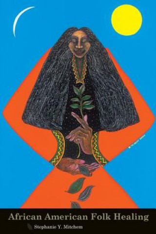 Carte African American Folk Healing Stephanie Y. Mitchem