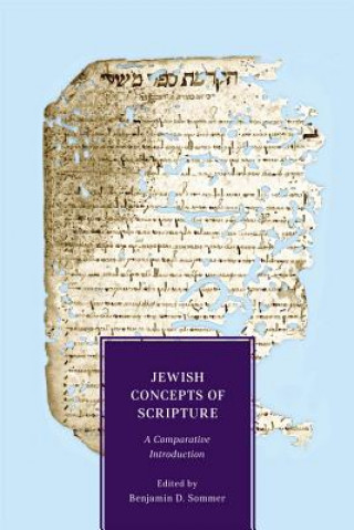 Könyv Jewish Concepts of Scripture Benjamin D. Sommer