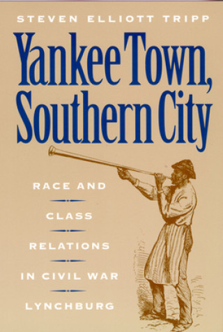 Книга Yankee Town, Southern City Steven Elliott Tripp