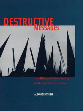 Kniha Destructive Messages Alexander Tsesis