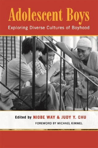 Libro Adolescent Boys Judy Chu