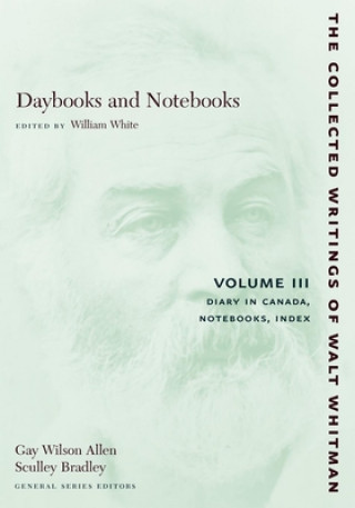 Kniha Daybooks and Notebooks: Volume III Walter Whitman
