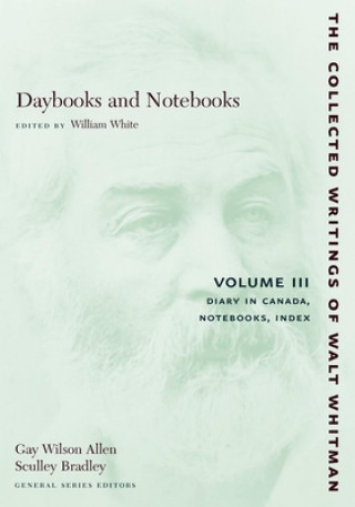 Książka Daybooks and Notebooks: Volume III Walter Whitman