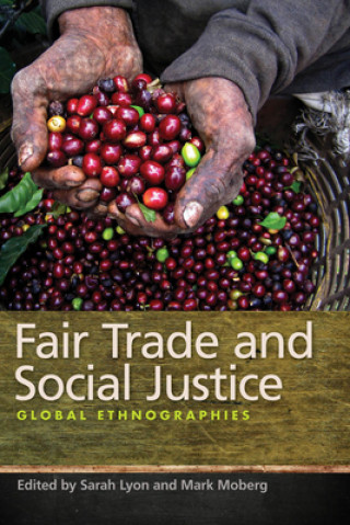 Könyv Fair Trade and Social Justice Mark Moberg