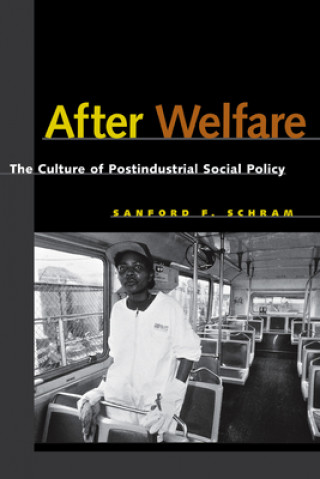 Book After Welfare Sanford F. Schram