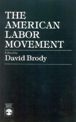 Kniha American Labor Movement David Brody