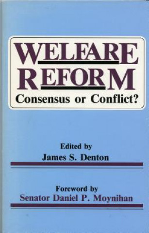 Kniha Welfare Reform James S. Denton
