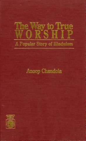 Kniha Way to True Worship Anoop Chandola