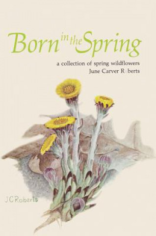 Carte Born In Spring June Carver Roberts