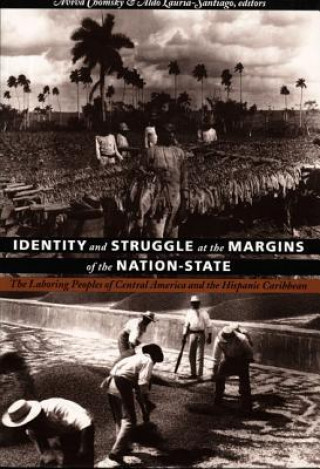 Kniha Identity and Struggle at the Margins of the Nation-State 