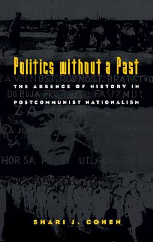 Kniha Politics without a Past Shari J. Cohen