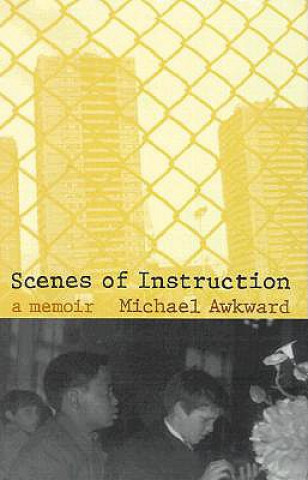 Knjiga Scenes of Instruction Michael Awkward