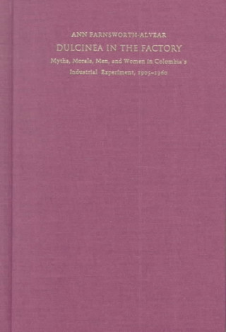 Książka Dulcinea in the Factory Ann Farnsworth-Alvear