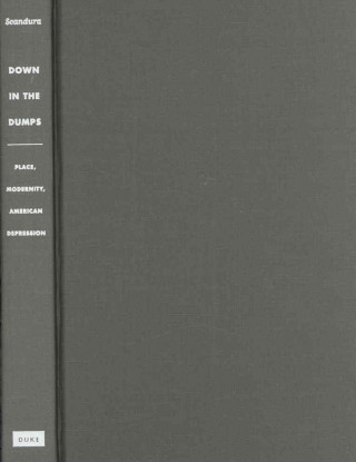Livro Down in the Dumps Jani Scandura