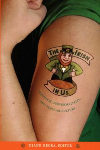 Książka Irish in Us Diane Negra