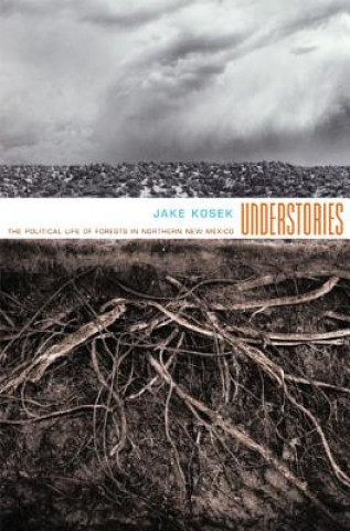 Knjiga Understories Jake Kosek