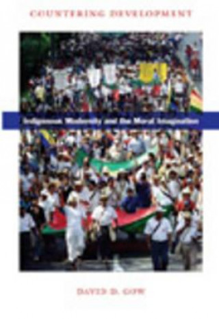 Boek Countering Development David D. Gow