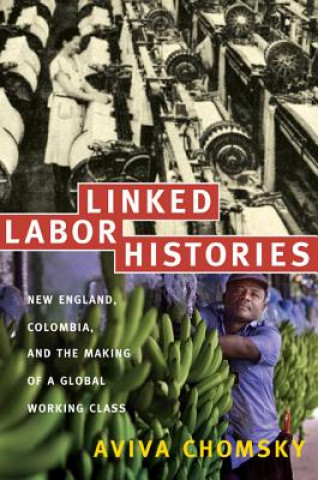 Kniha Linked Labor Histories Aviva Chomsky