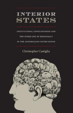 Knjiga Interior States Christopher Castiglia