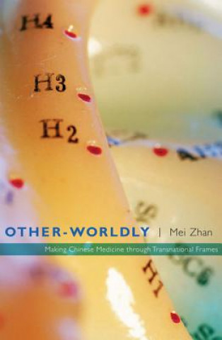 Kniha Other-Worldly Mei Zhan