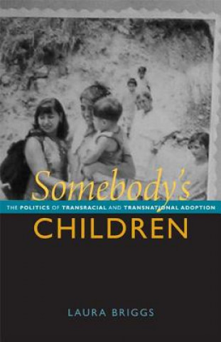 Buch Somebody's Children Laura Briggs