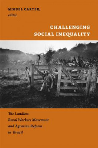 Kniha Challenging Social Inequality 