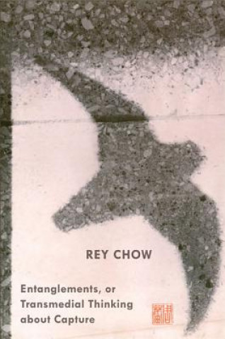 Book Entanglements, or Transmedial Thinking about Capture Rey Chow